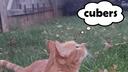Discovery splash banner for cubers Discord server