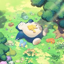 Discovery splash banner for Poké Card Paradise Discord server