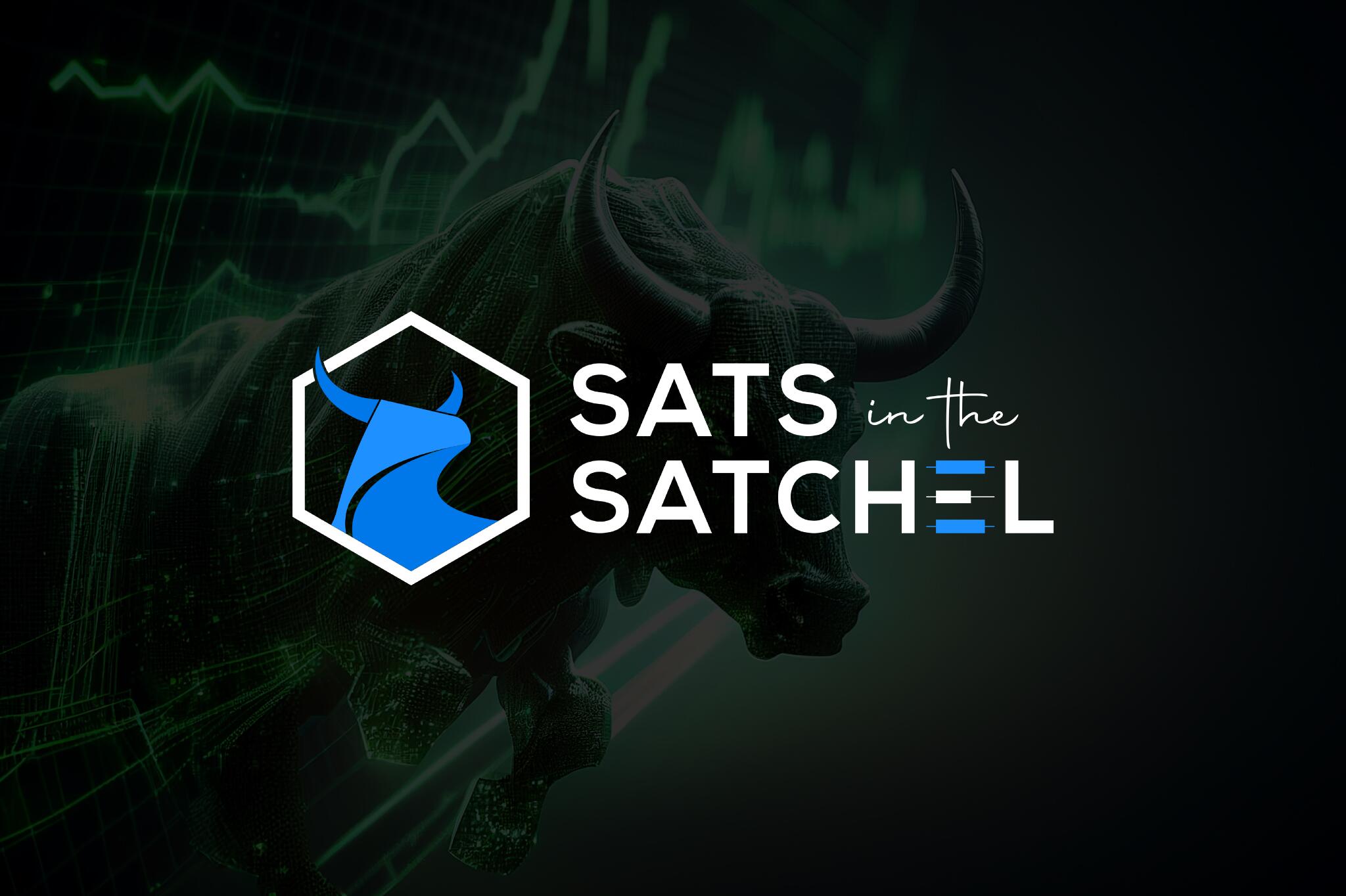 Discovery splash banner for Sats in the Satchel Discord server