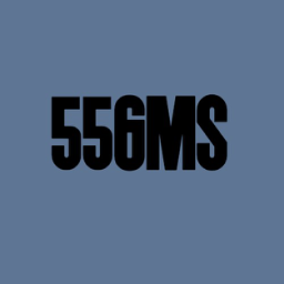 Discovery icon for 55GMS Discord server