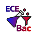 Discovery icon for ECEBac.fr (2026) Discord server