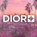 Discovery icon for The Dior Network (2024-2026) Discord server