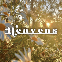 Discovery icon for Heavens™ ♡ | Social ・ Hindi ・ Fun ・ Pfps ・ Nitro ・ Gws ・ Dating ・ Hangout Discord server