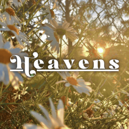 Discovery icon for Heavens™ ♡ | Social ・ Hindi ・ Fun ・ Pfps ・ Nitro ・ Gws ・ Dating ・ Hangout Discord server