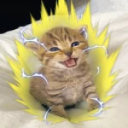 Discovery icon for Cat Fighting Games Discord server