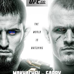 Discovery icon for The UFC Server Discord server