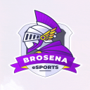 Discovery icon for BroSena eSports Discord server