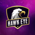 Discovery icon for Hawk Eye Official Discord server