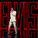 Discovery icon for Elvis Fans ⚡ Discord server