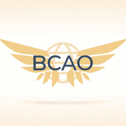 Discovery icon for Bloxburg Civil Aviation Organization Discord server
