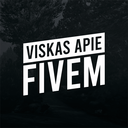Discovery icon for Viskas apie FiveM Discord server
