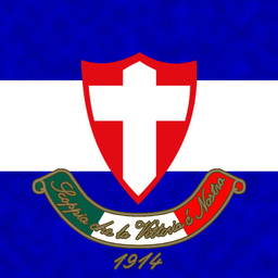 Discovery icon for Palmeiras Discord server