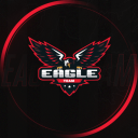Discovery icon for Eagle Team E-Sports Discord server