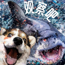 Discovery icon for 观察吧 Observe Bar Discord server