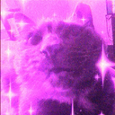 Discovery icon for pink summer tina world Discord server